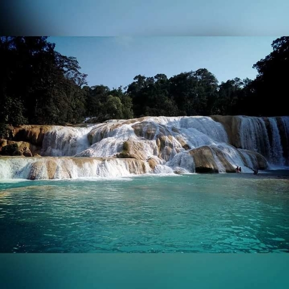 Meet your Posher, Lizett - Picture 1 of 1